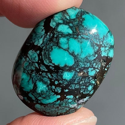 Turquoise #278 | Tibetan