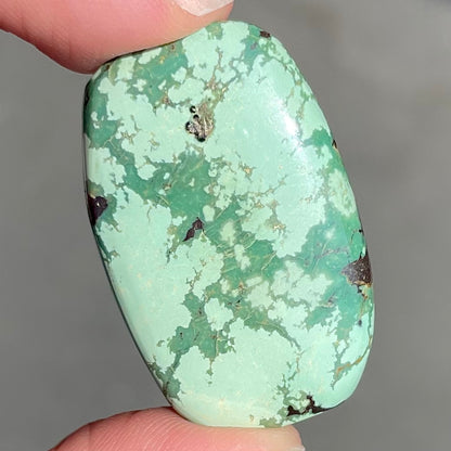 A loose, barrel cabochon cut variscite stone from Utah, USA.