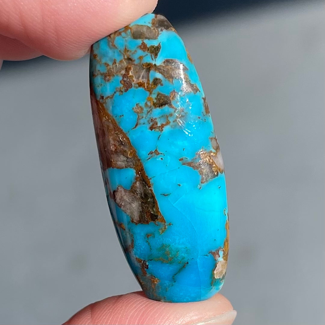 A loose, barrel cabochon cut turquoise stone from the Courtland-Gleeson mine.