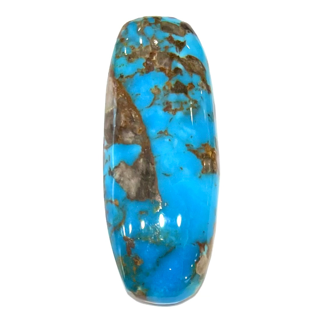 A loose, barrel cabochon cut turquoise stone from the Courtland-Gleeson mine.