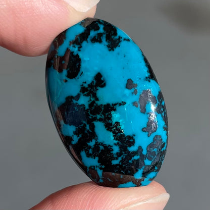 Chrysocolla Cabochon | #272