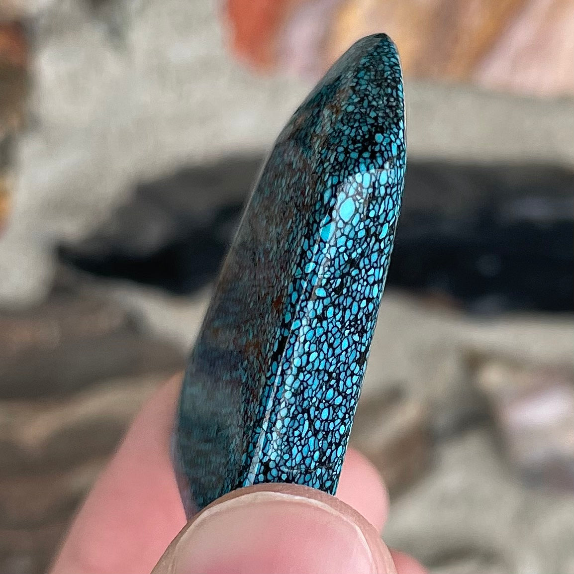 Turquoise #1A | Kingman Black Web