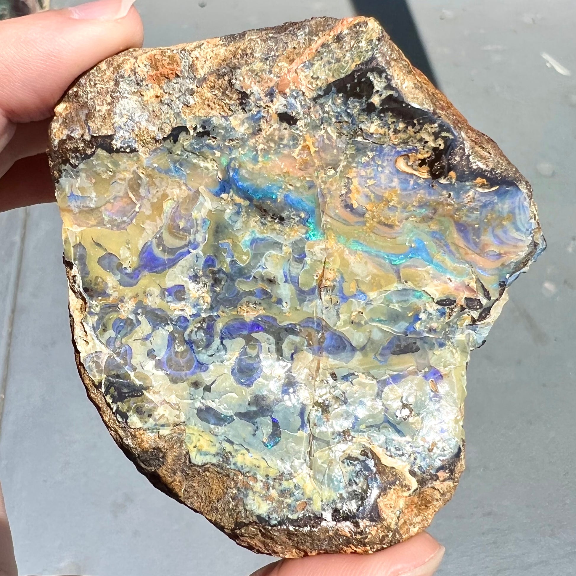 A rough specimen of boulder opal from Quilpie, Australia.