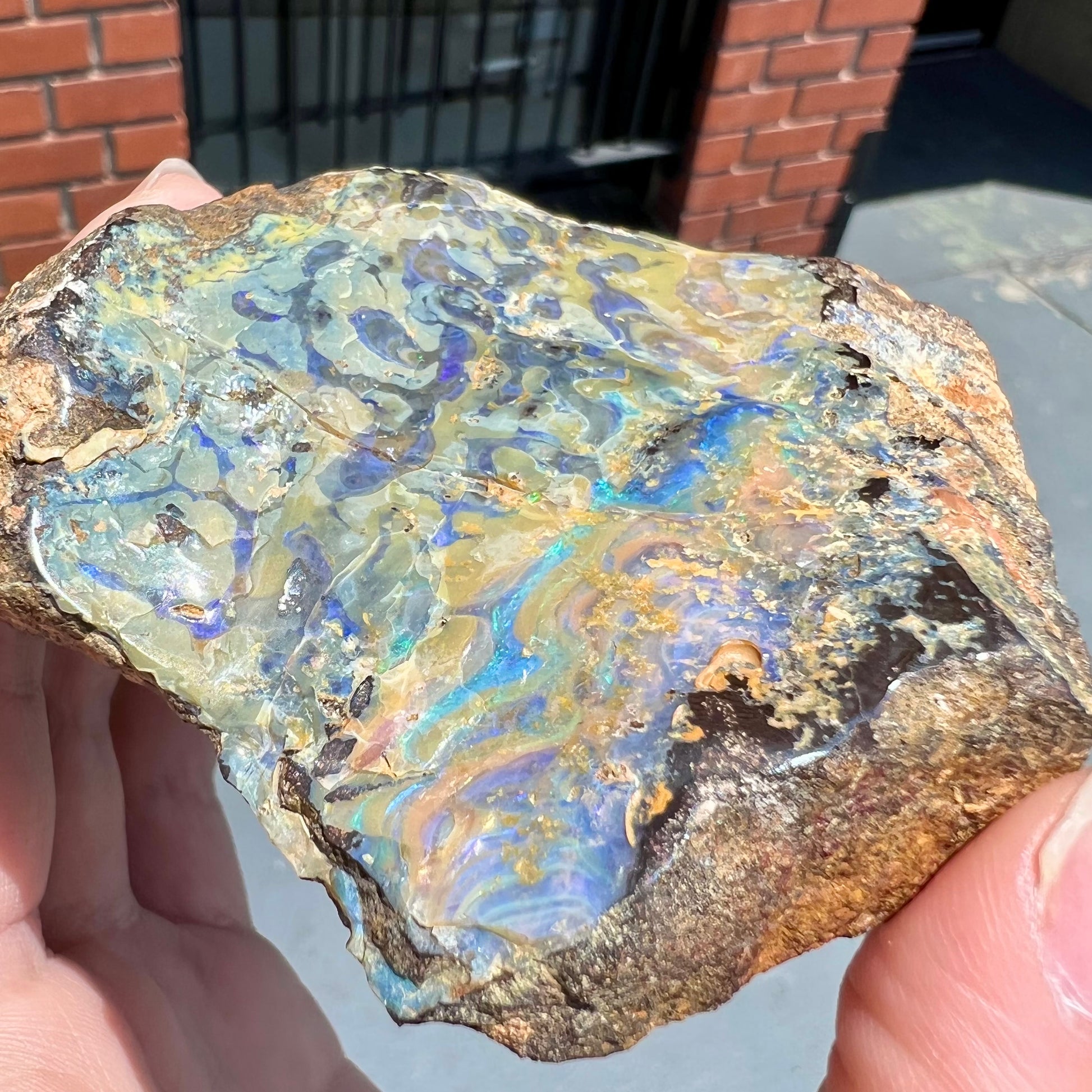 A rough specimen of boulder opal from Quilpie, Australia.