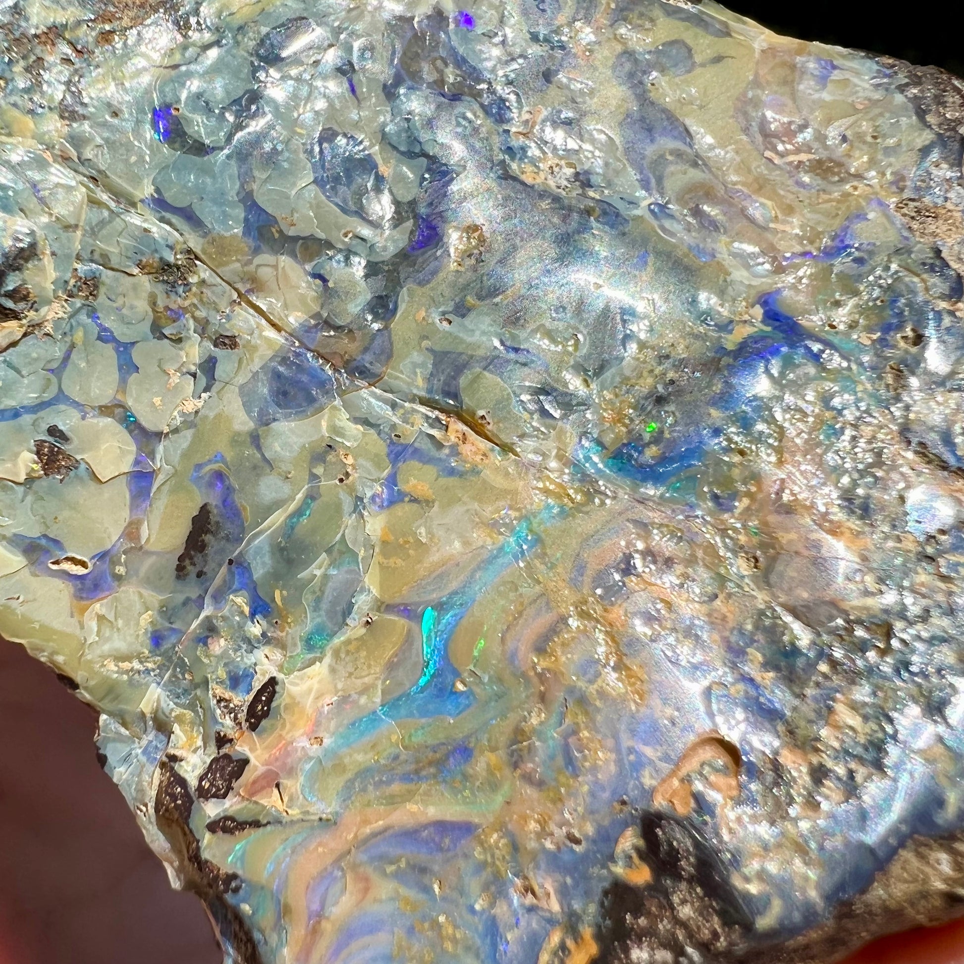 A rough specimen of boulder opal from Quilpie, Australia.