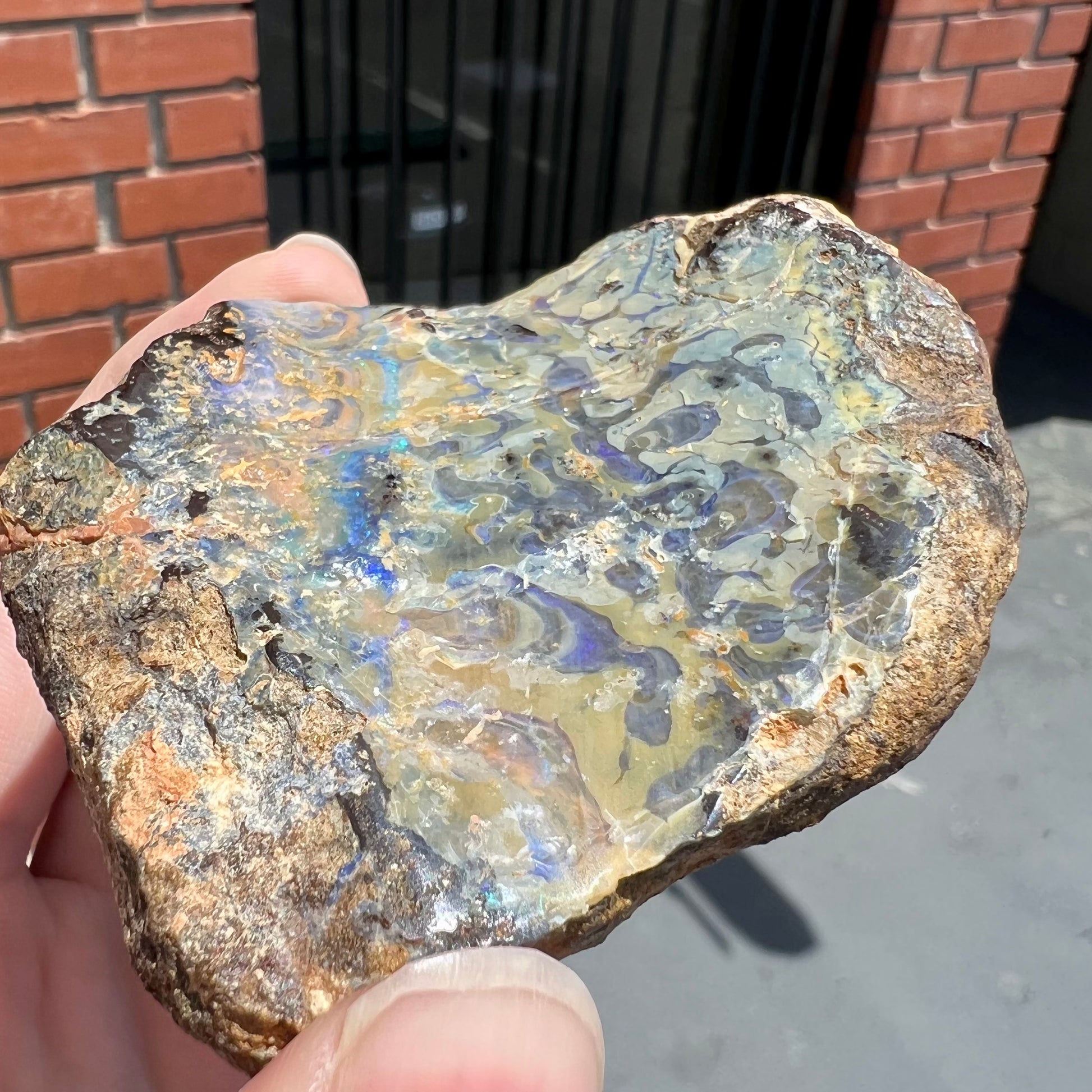 A rough specimen of boulder opal from Quilpie, Australia.