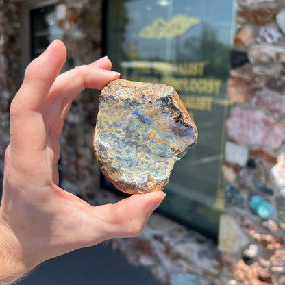 A rough specimen of boulder opal from Quilpie, Australia.