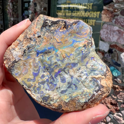 A rough specimen of boulder opal from Quilpie, Australia.