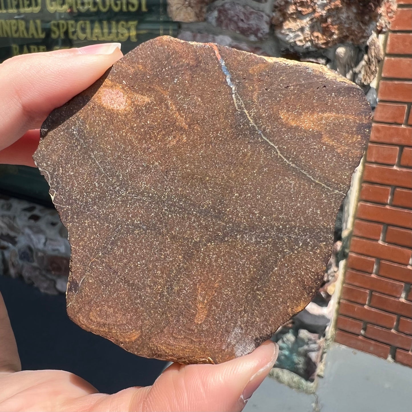 A rough specimen of boulder opal from Quilpie, Australia.