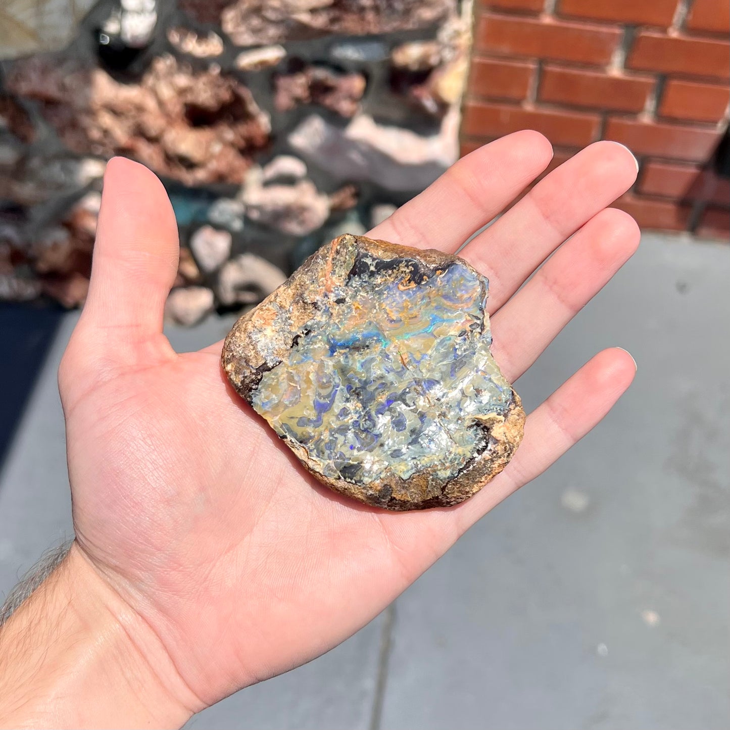 A rough specimen of boulder opal from Quilpie, Australia.