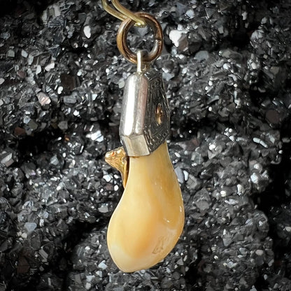 An elk tooth that has been fashioned into a blue enameled gold pendant.  There is a decorative elk head cast in yellow gold set on the piece.