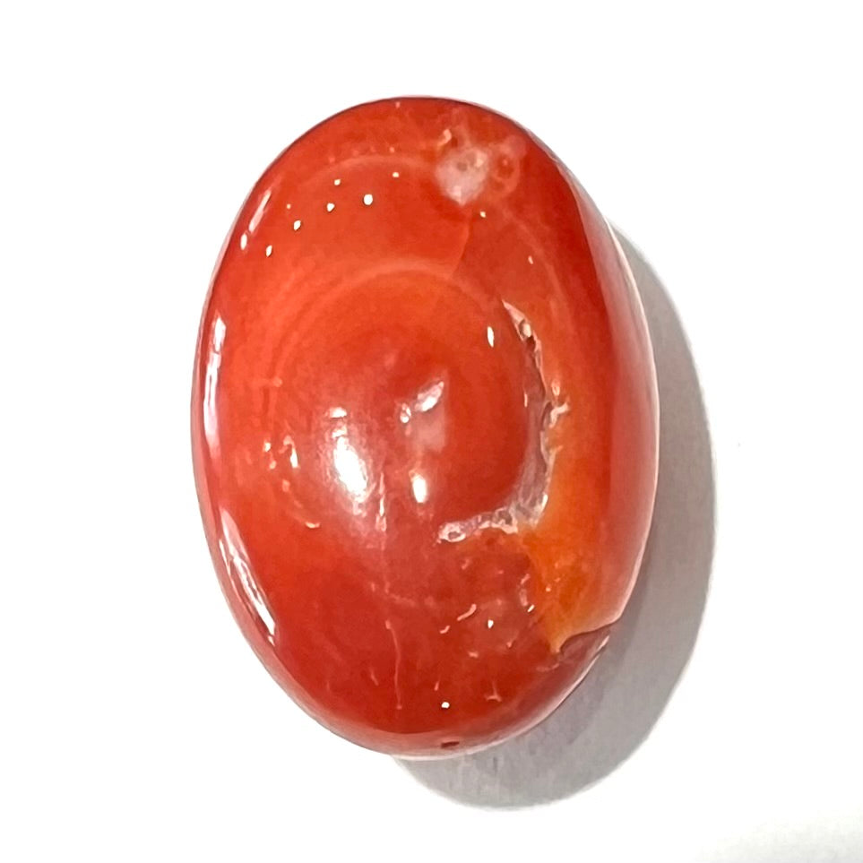 40.70ct Natural Red Coral Cabochon, Undyed