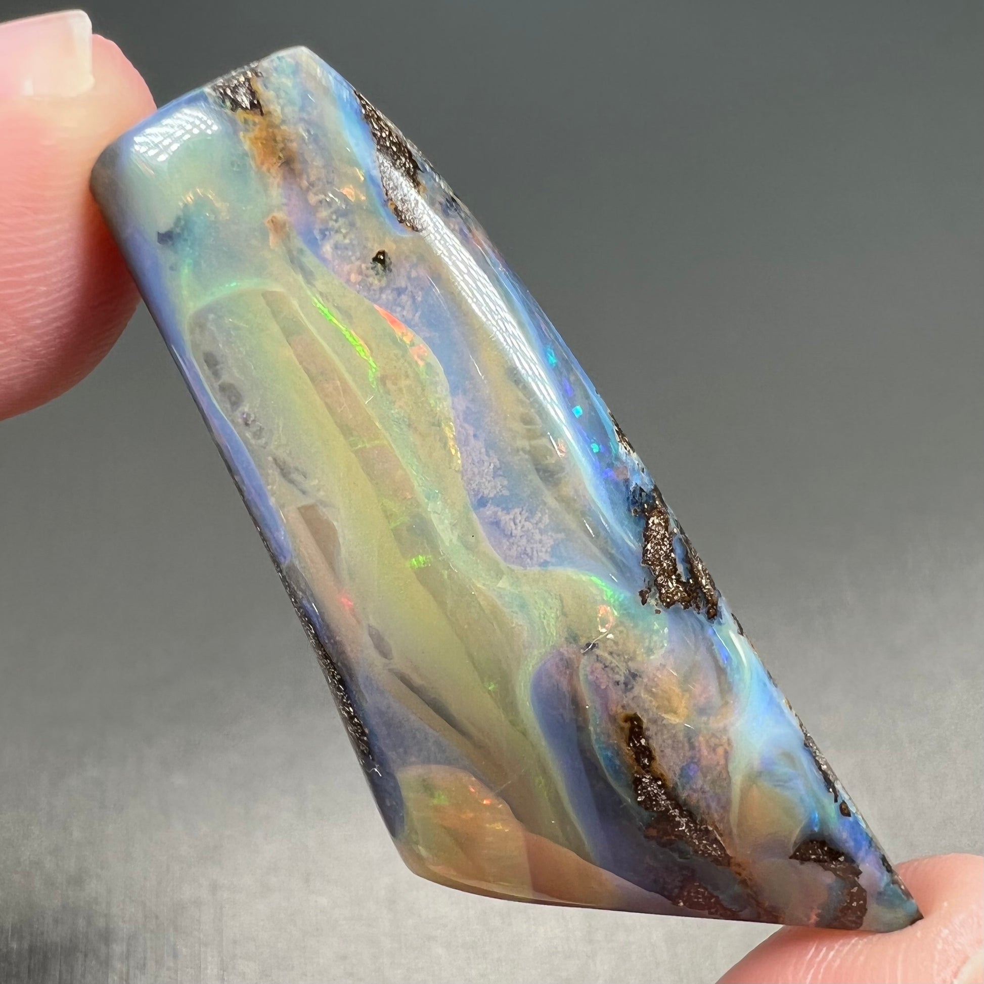 A freeform shaped, polished boulder opal stone from Queensland, Australia.  The stone has red, orange, green, and blue fire.