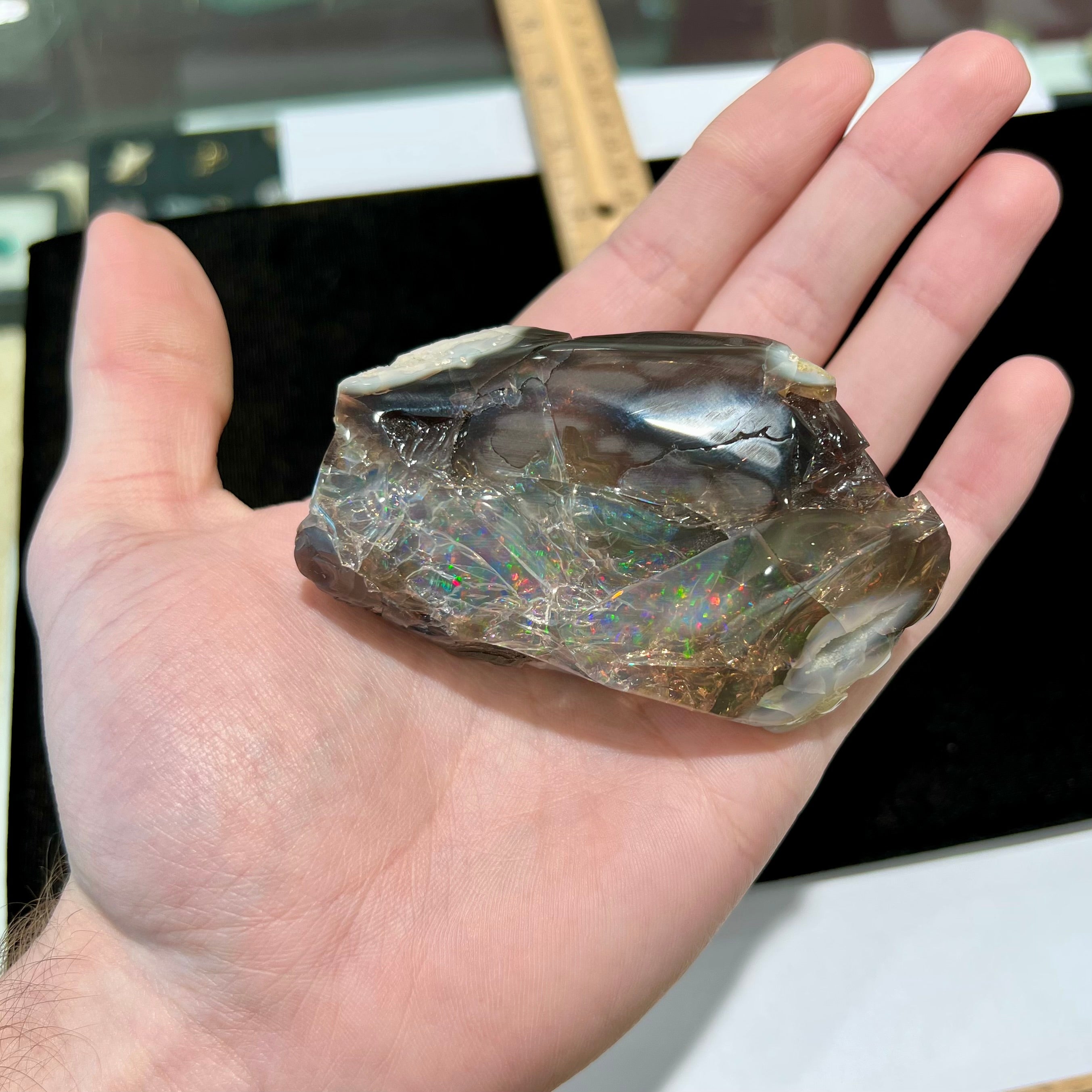 Virgin valley opal for shop sale