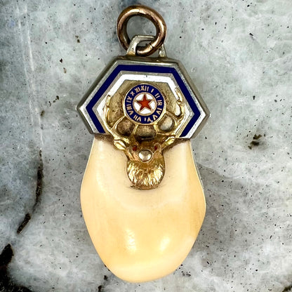 An elk tooth that has been fashioned into a blue enameled gold pendant.  There is a decorative elk head cast in yellow gold set on the piece.