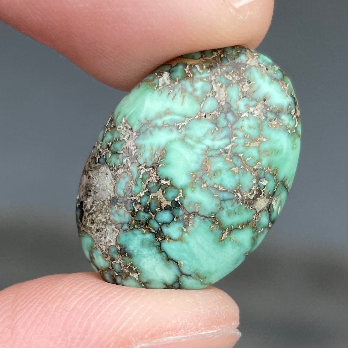 Variscite Cabochon | #197