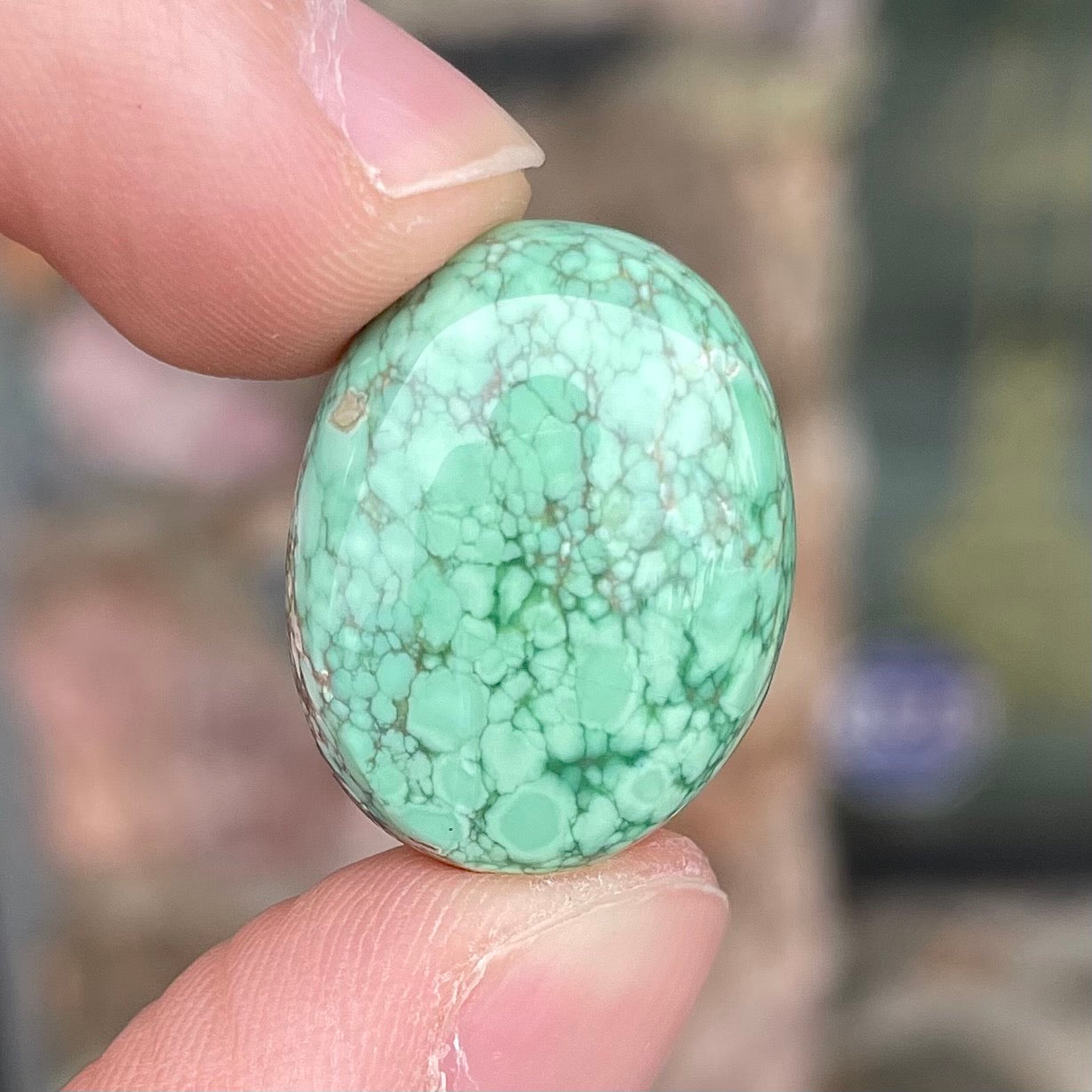 Variscite Cabochon | #165