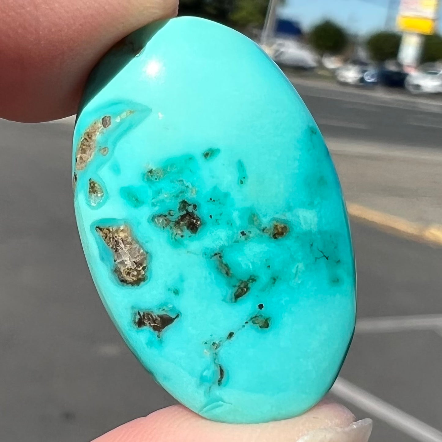 Loose oval cabochon cut turquoise stone from Pilot Mountain Mine, Nevada, held between two finger tips in a parking lot