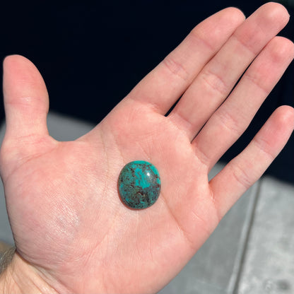 An oval cabochon cut turquoise from the Royston Mine in Nevada.