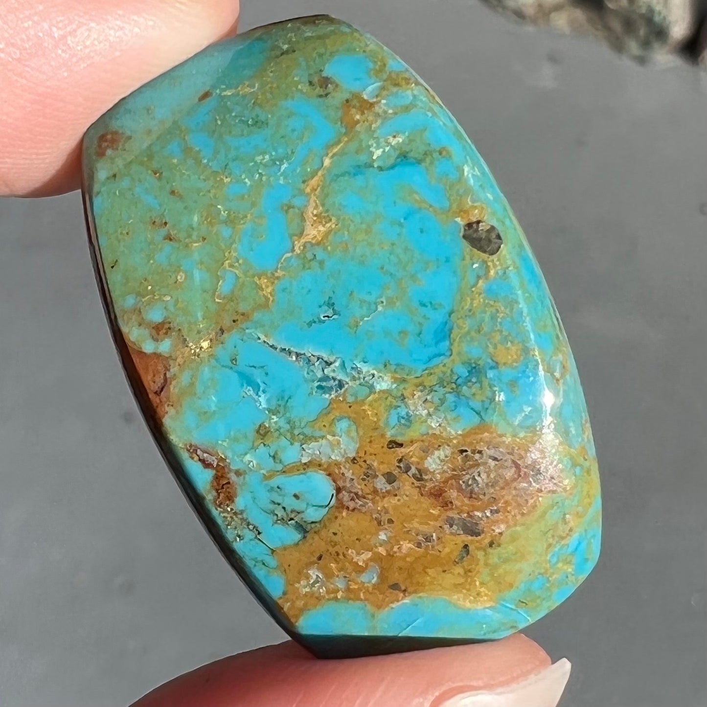 Blue Manassa turquoise stone with brown matrix being held in someone's fingertips.