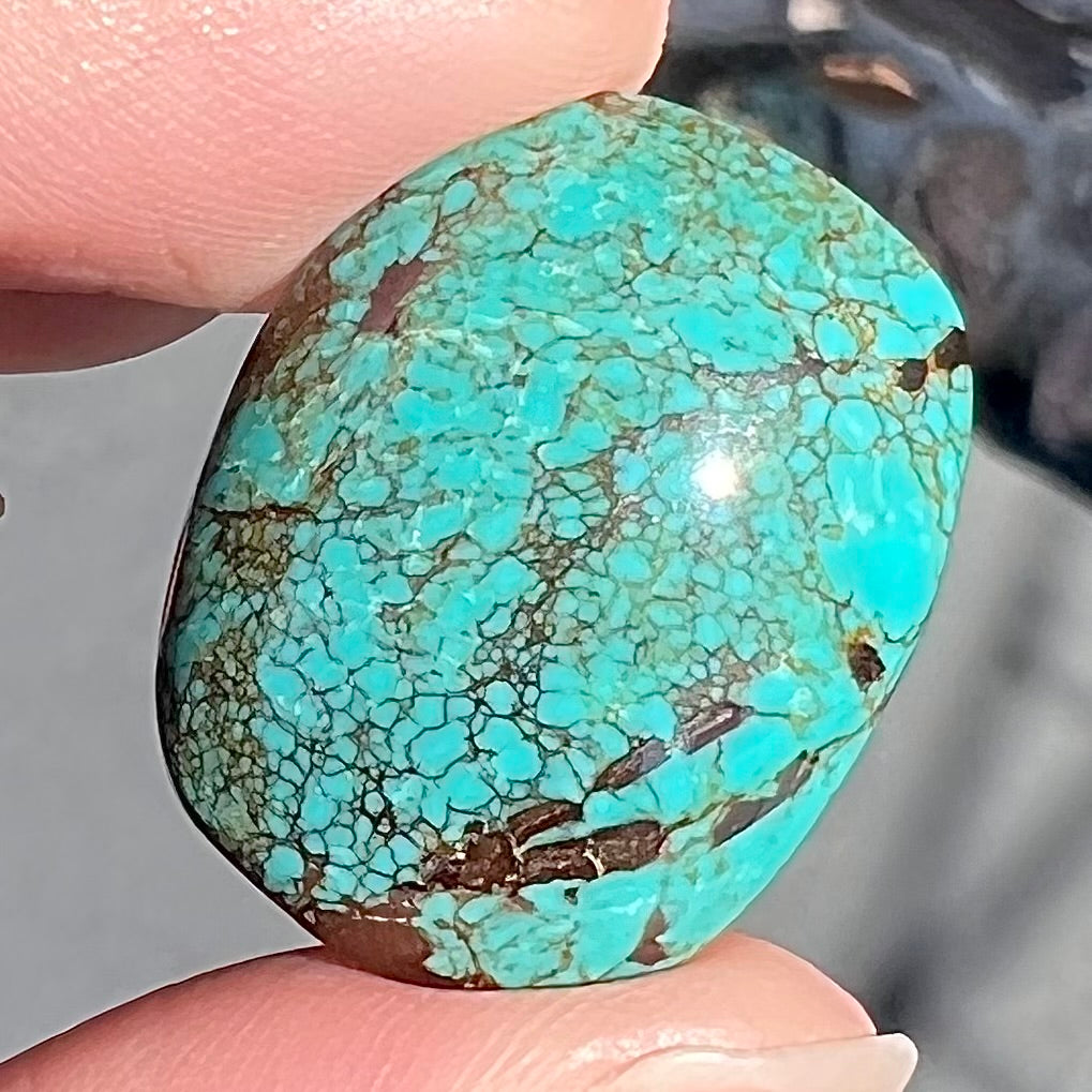 Turquoise #280 | Tibetan