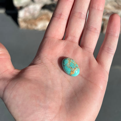 An oval cabochon cut loose Fox turquoise stone.