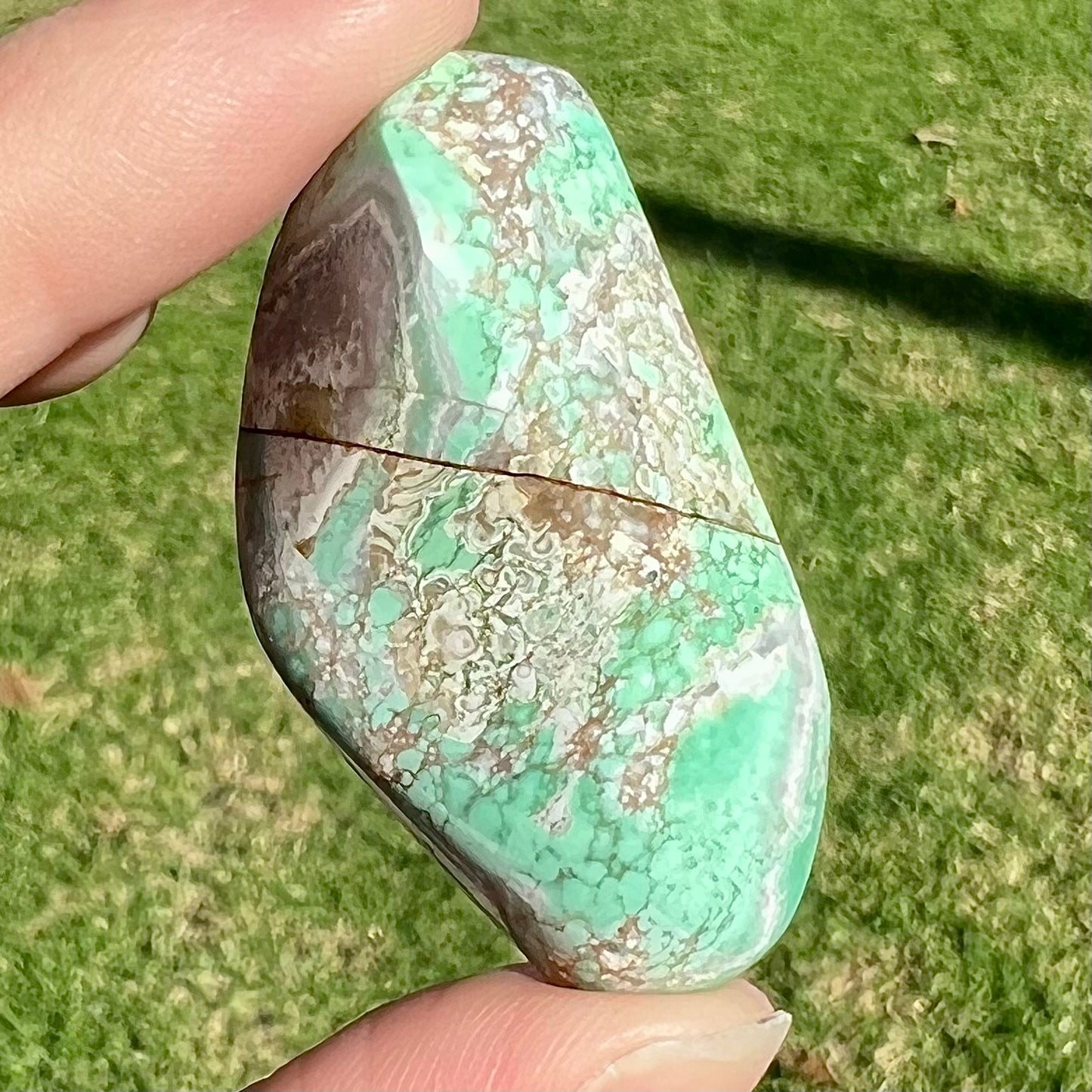 Loose polished variscite stone.