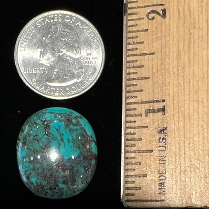 An oval cabochon cut turquoise from the Royston Mine in Nevada.