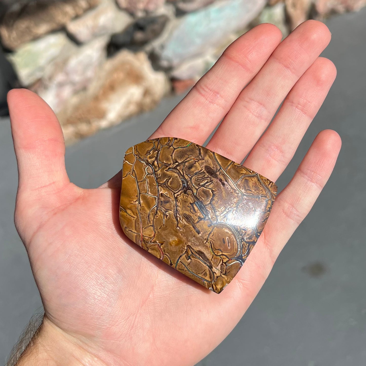 A polished piece of boulder opal stone from Koroit, Australia.