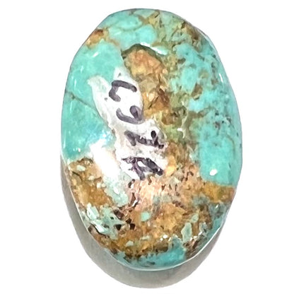 An oval cabochon cut loose Fox turquoise stone.