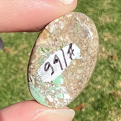 Loose polished Utah variscite cabochon.