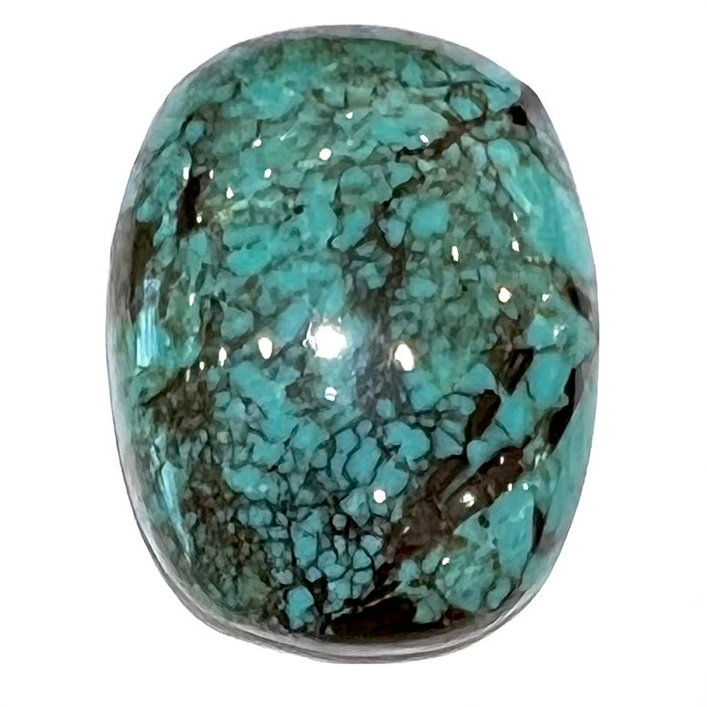 Turquoise #280 | Tibetan