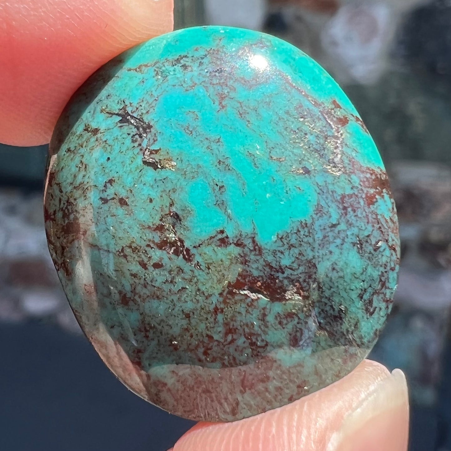 An oval cabochon cut turquoise from the Royston Mine in Nevada.