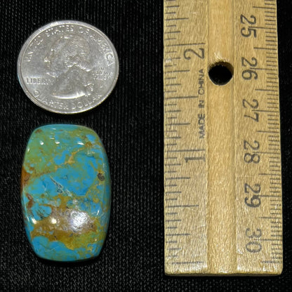 A loose, barrel cabochon cut turquoise stone from Manassa, Colorado.  The piece is blue with yellow matrix.