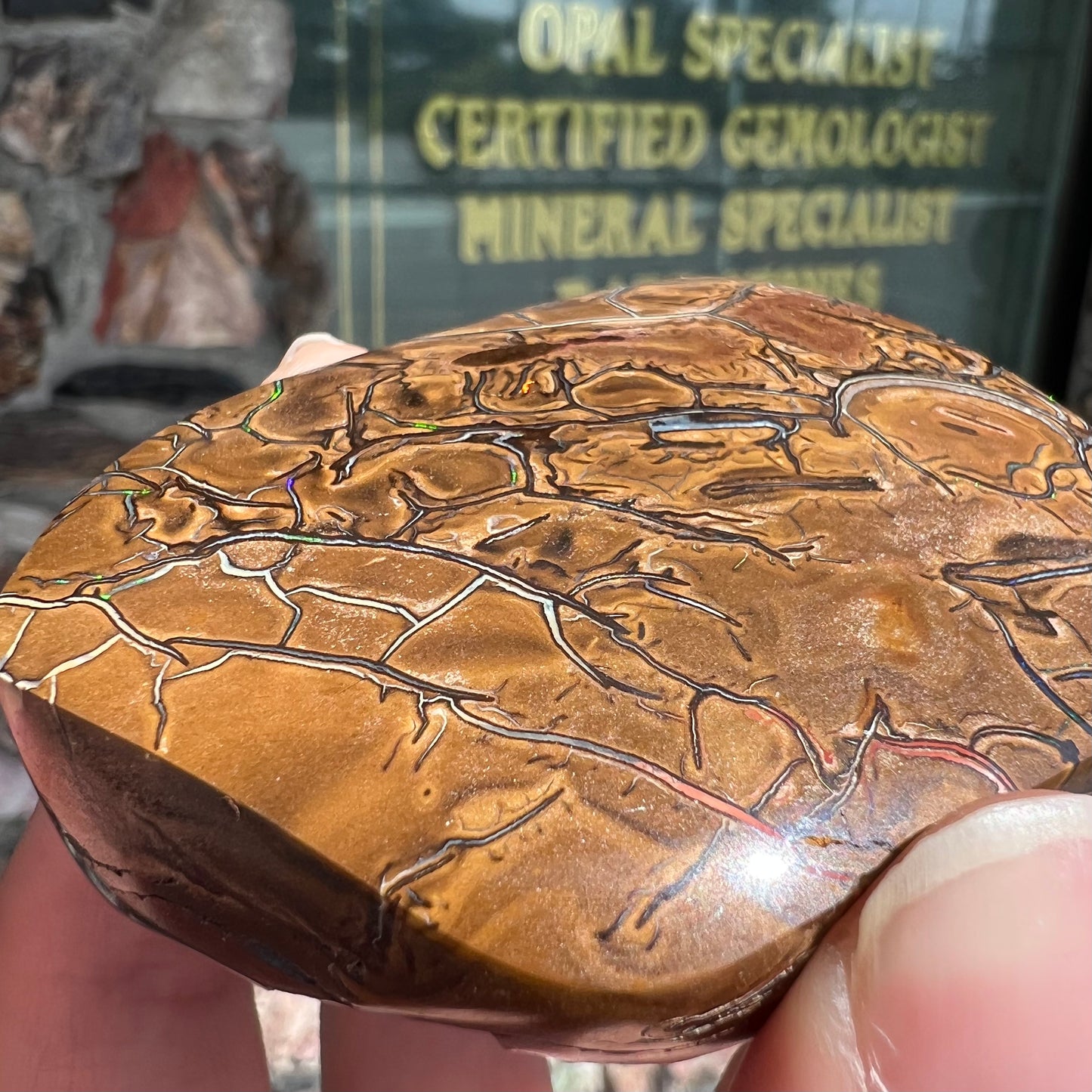 A polished piece of boulder opal stone from Koroit, Australia.