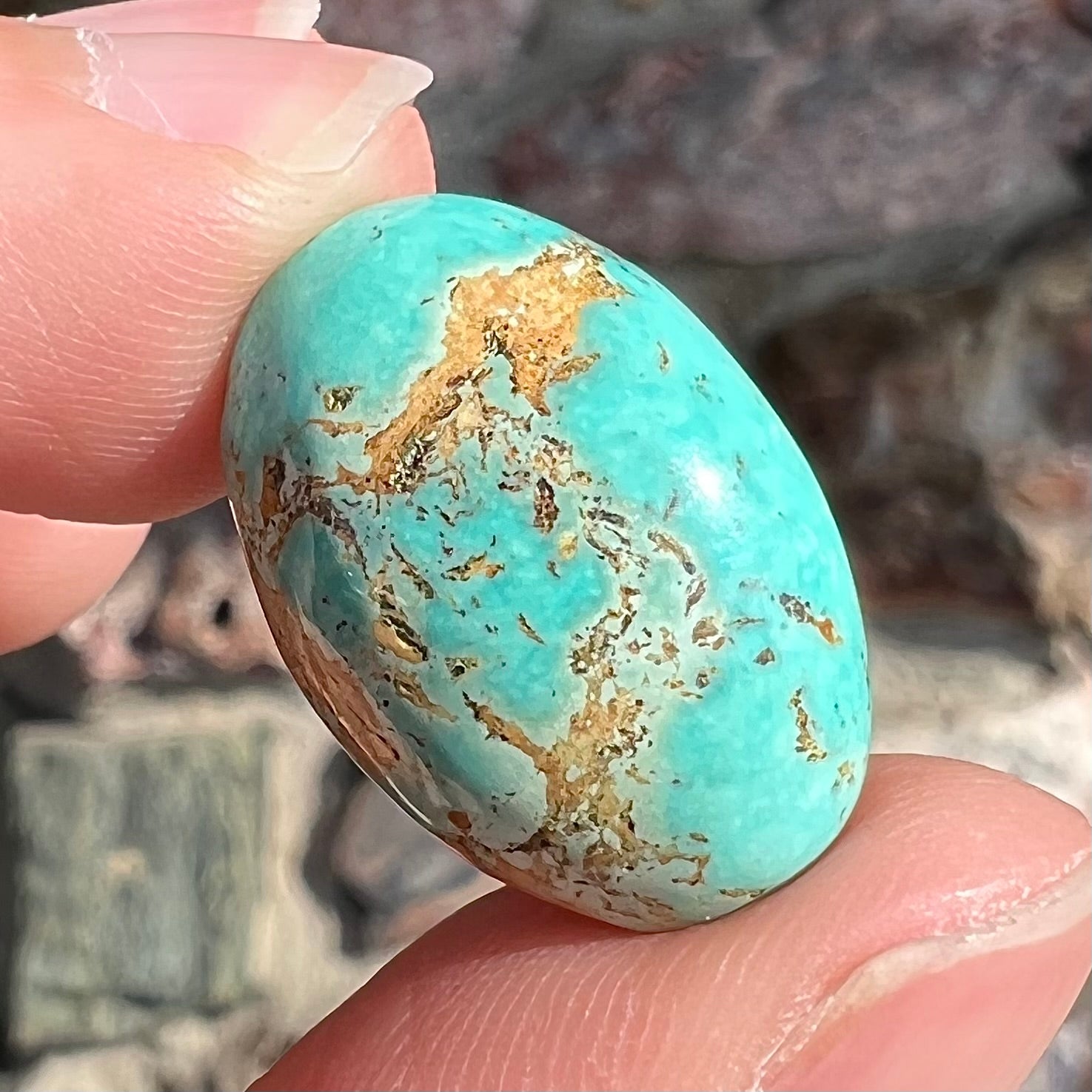 An oval cabochon cut loose Fox turquoise stone.