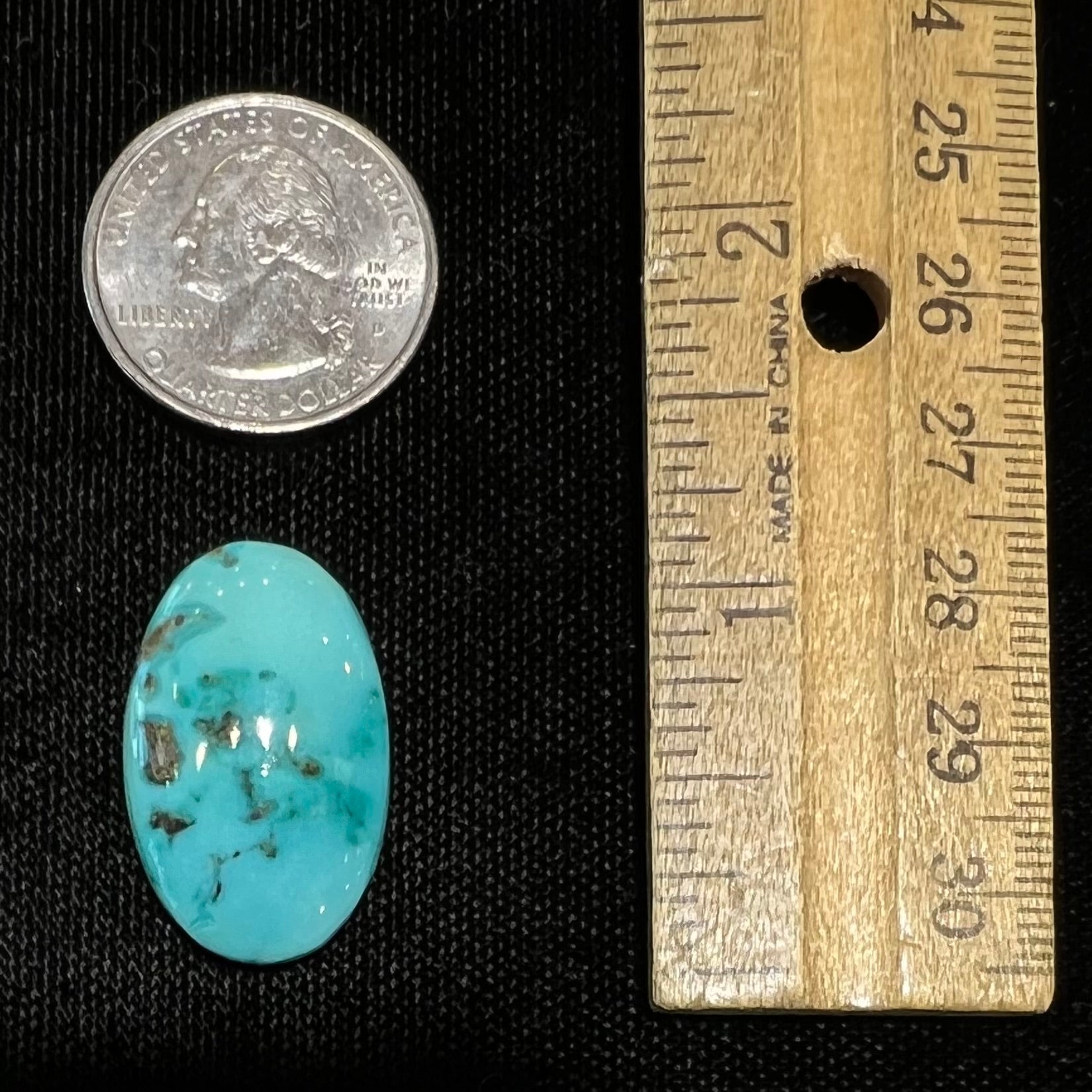 Loose oval cabochon cut turquoise stone from Pilot Mountain Mine, Nevada being compared to a US quarter dollar coin.