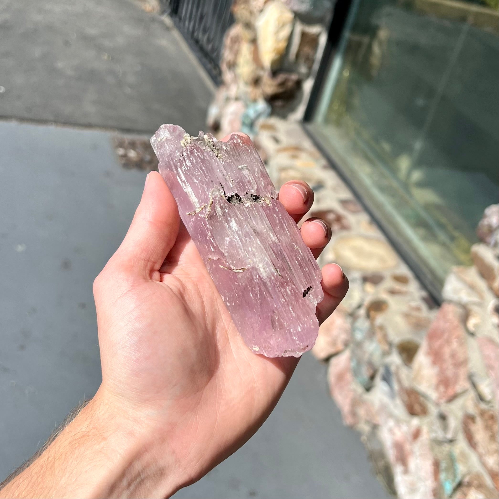 5 INCH Natural Kunzite Crystal Specimen 384 Grams Burton s