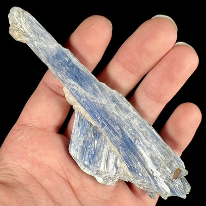 A twinned blue kyanite crystal specimen that measures 4.25 inches.