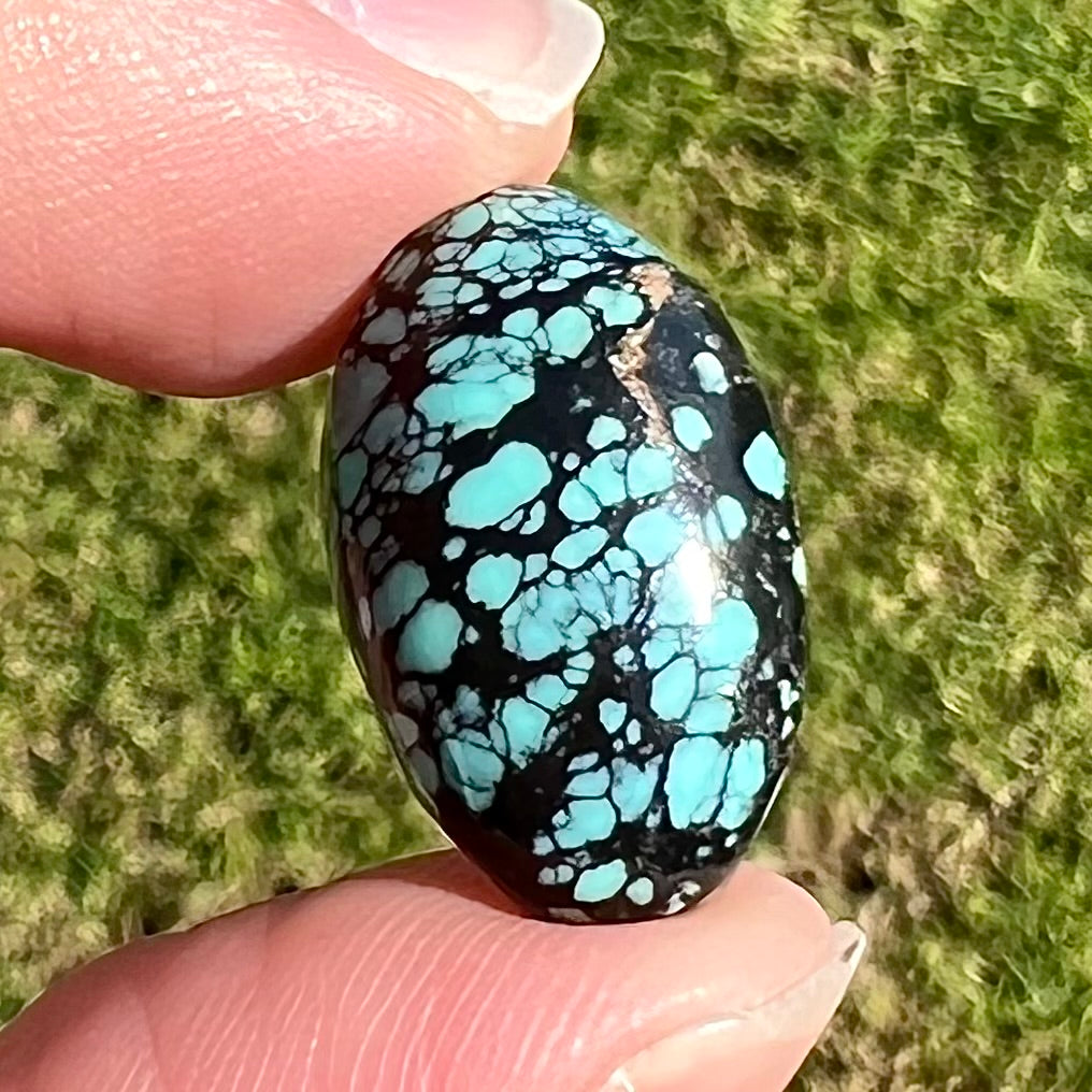 Turquoise #102 | possibly New Lander?- see additional notes – Burton's Gems  and Opals