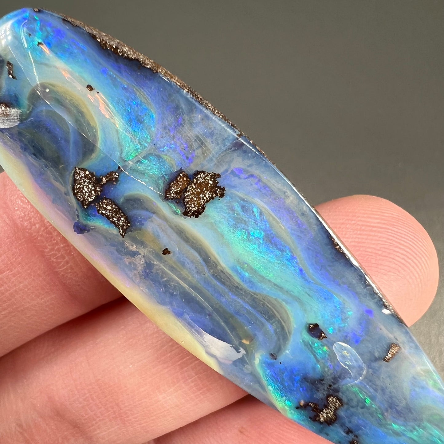 A blue, drop shaped Quilpie boulder opal stone from Queensland, Australia.