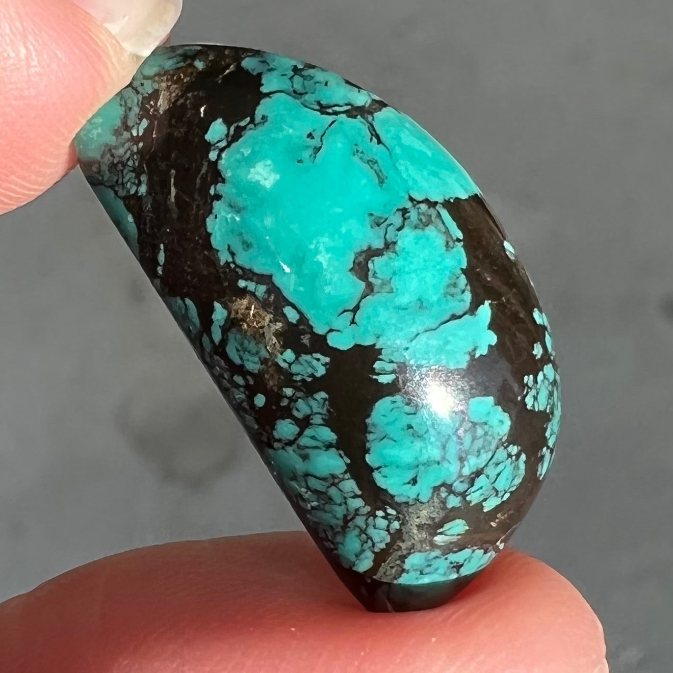 Turquoise #281 | Tibetan – Burton's Gems and Opals