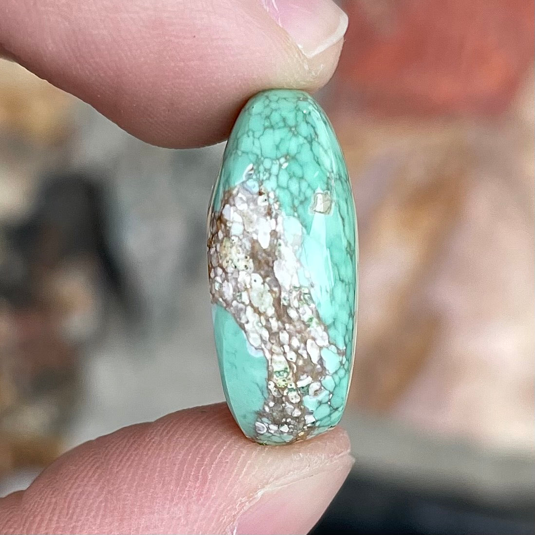 Variscite Cabochon | #165