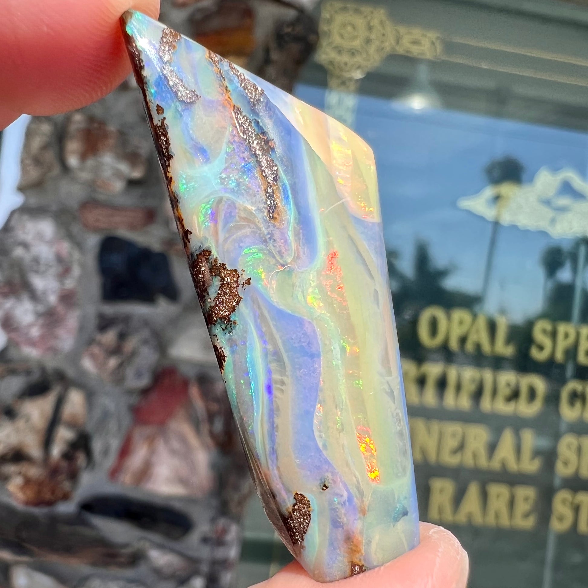 A freeform shaped, polished boulder opal stone from Queensland, Australia.  The stone has red, orange, green, and blue fire.