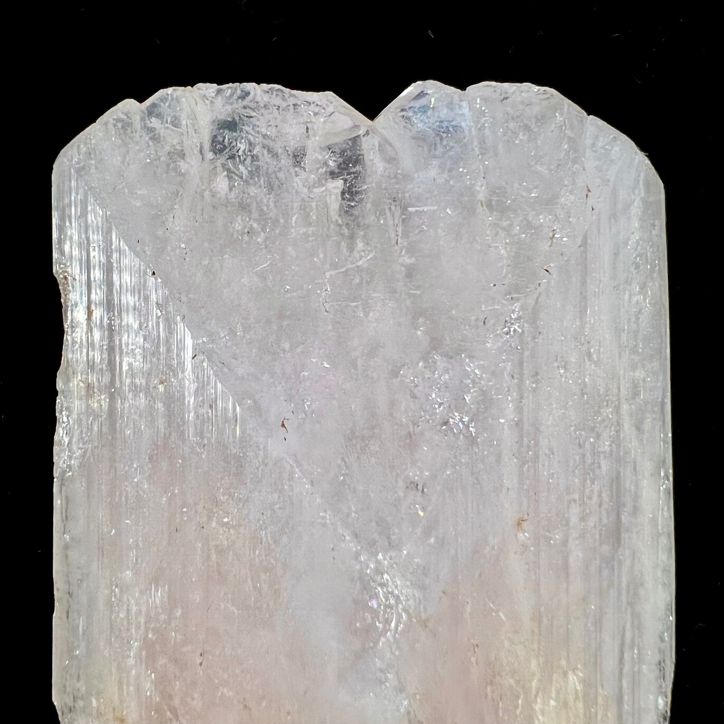 A 5.5 inch long pink danburite crystal that weighs over one pound.