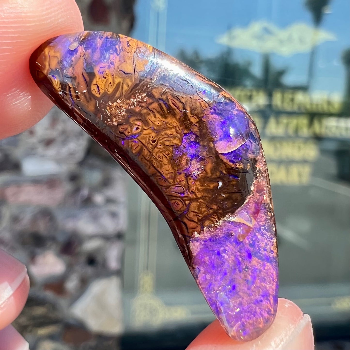 A loose boomerang shaped purple boulder opal stone from Quilpie, Australia.