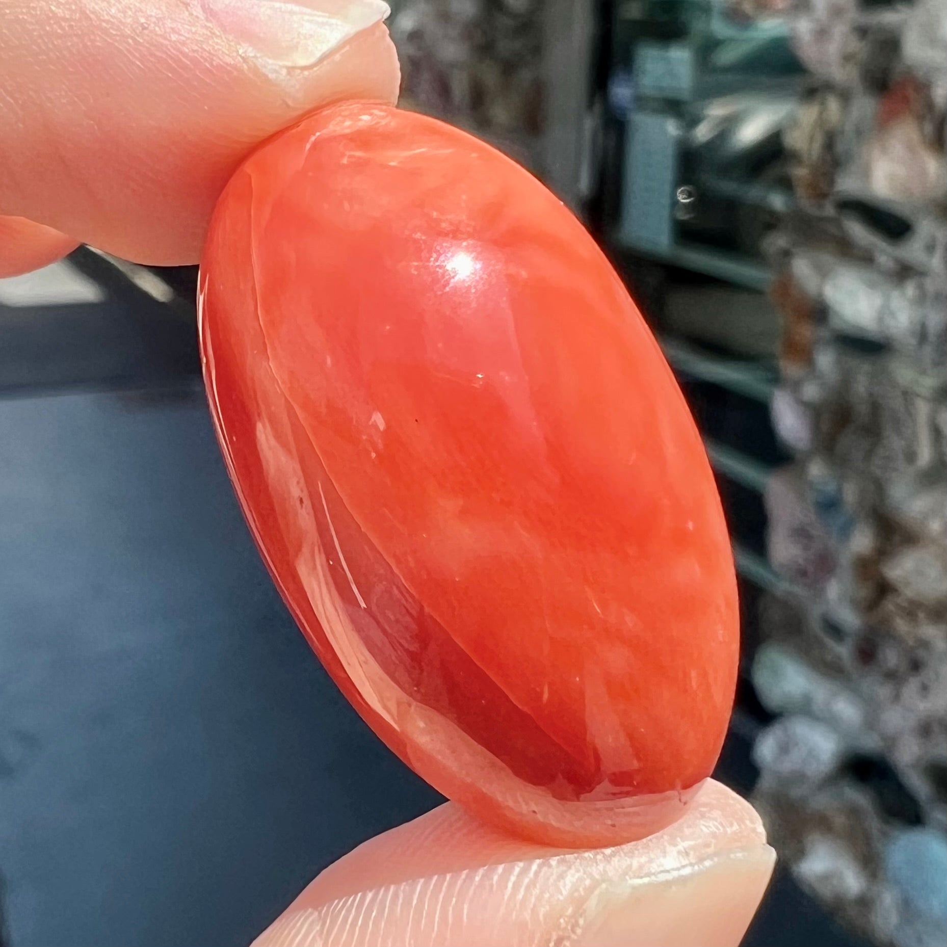 Red coral deals for sale