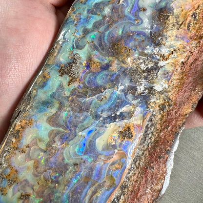 A 7 inch long, polished Quilpie boulder opal specimen.  The stone shows colors of blue, green, and orange.