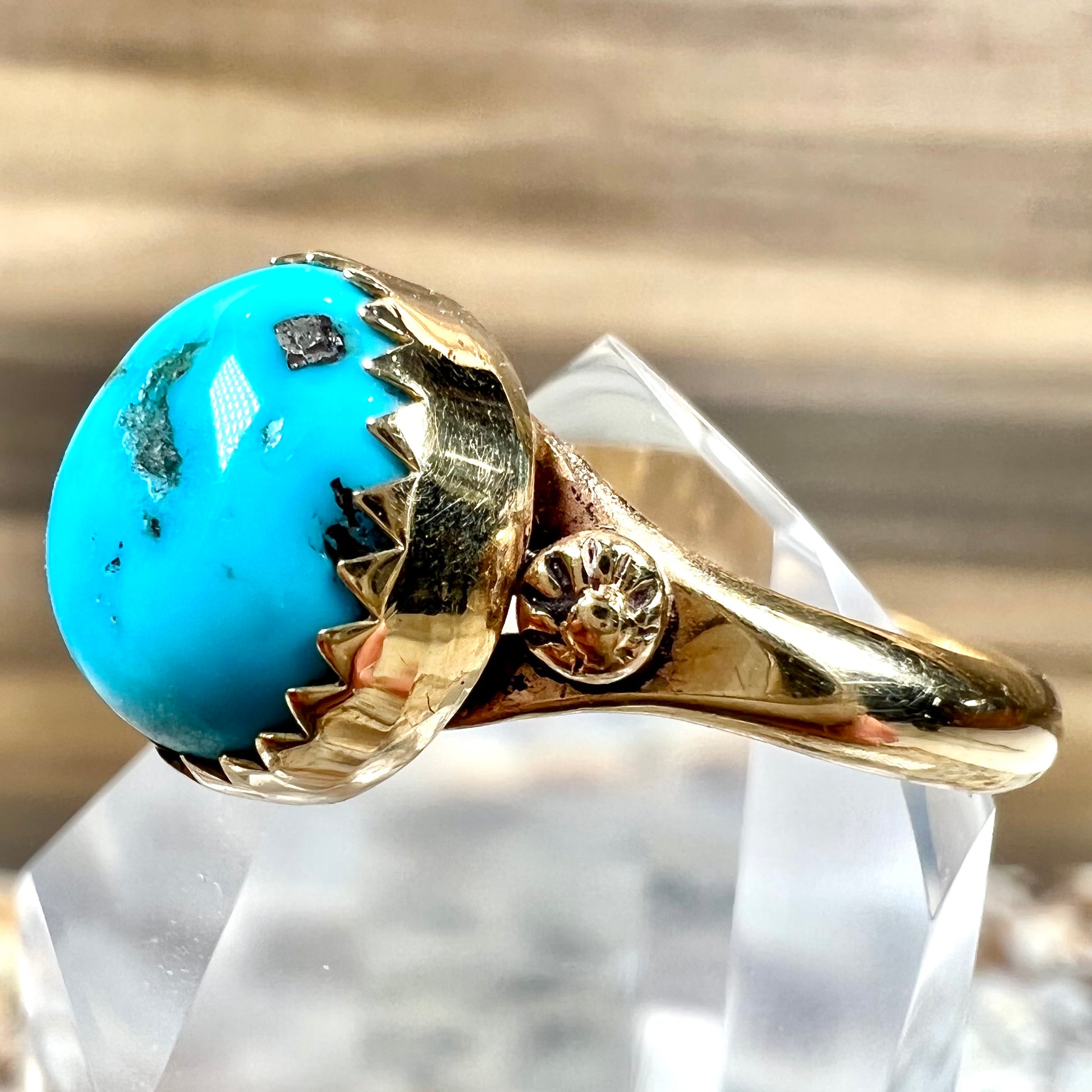 A ladies' yellow gold turquoise ring.  The turquoise is a round cabochon cut.