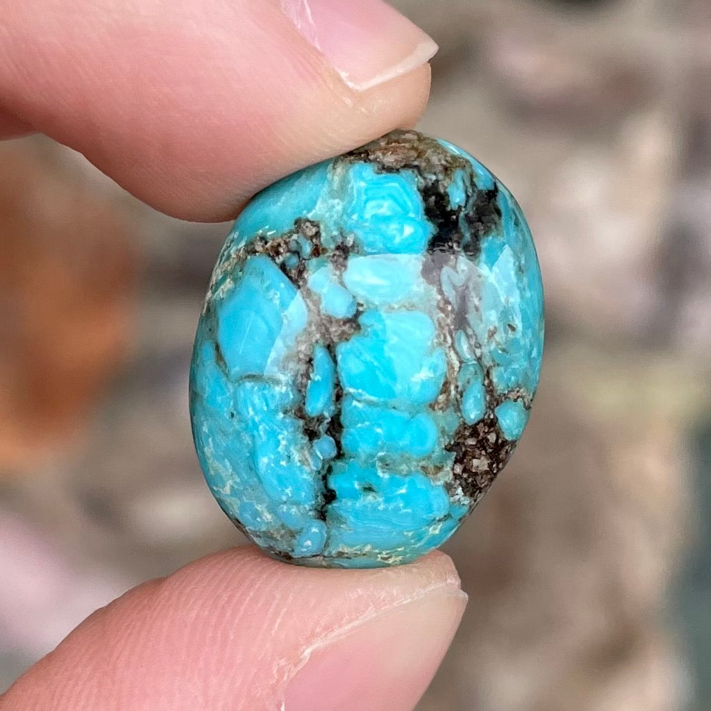 A loose, oval cabochon cut turquoise stone from the Valley Blue Mine in Lander County, Nevada.